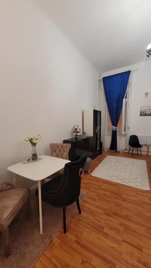 Opera Victoriei Residence - Ultracentral Cozy Accommodation تيميشورا المظهر الخارجي الصورة