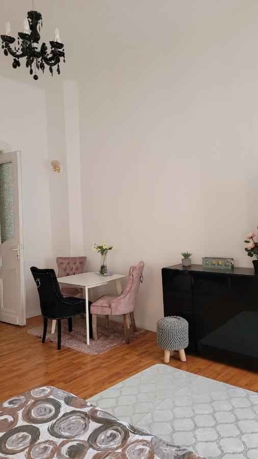 Opera Victoriei Residence - Ultracentral Cozy Accommodation تيميشورا المظهر الخارجي الصورة