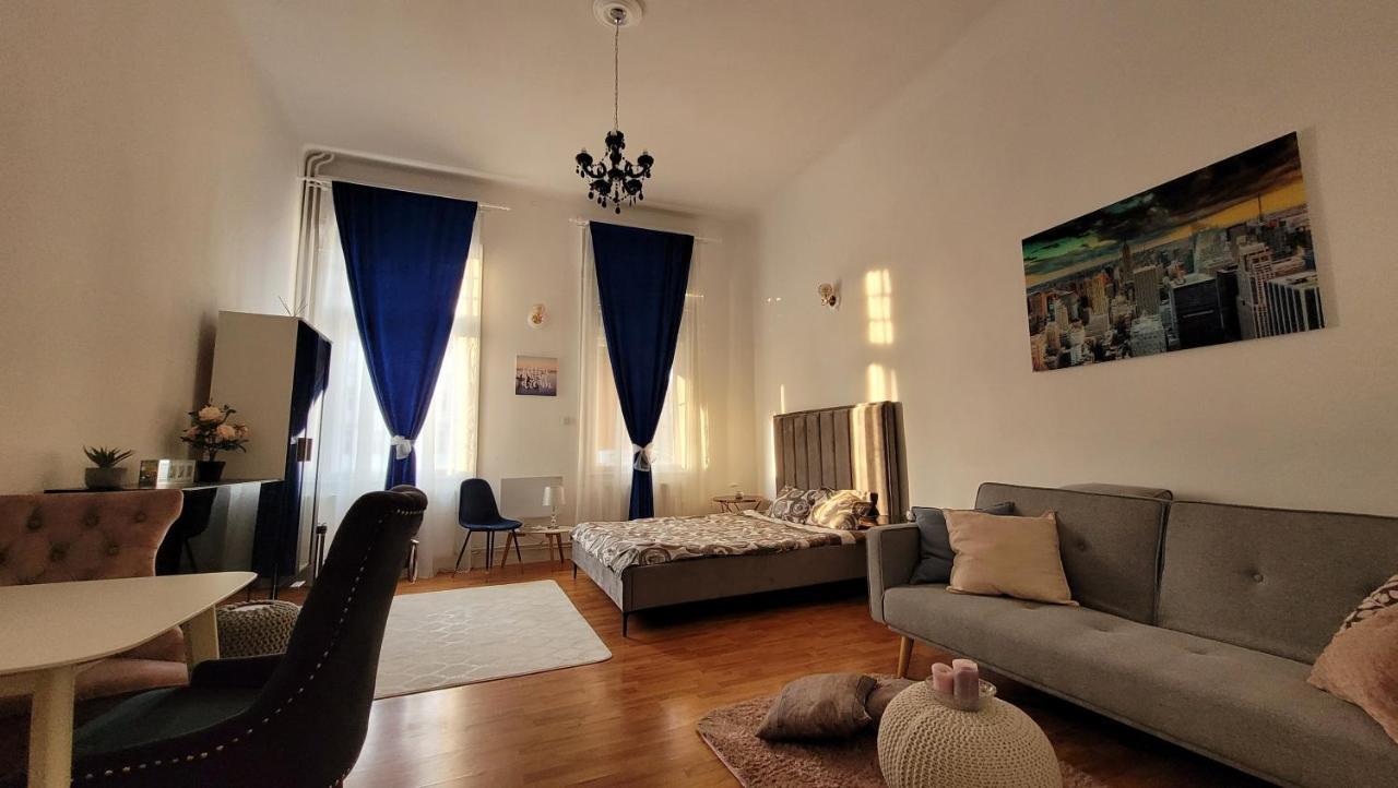 Opera Victoriei Residence - Ultracentral Cozy Accommodation تيميشورا المظهر الخارجي الصورة