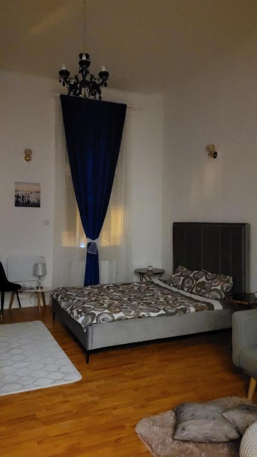 Opera Victoriei Residence - Ultracentral Cozy Accommodation تيميشورا المظهر الخارجي الصورة