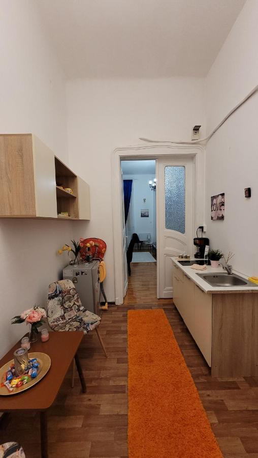 Opera Victoriei Residence - Ultracentral Cozy Accommodation تيميشورا المظهر الخارجي الصورة
