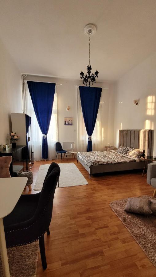 Opera Victoriei Residence - Ultracentral Cozy Accommodation تيميشورا المظهر الخارجي الصورة